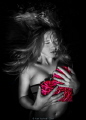 click to go to the contest 