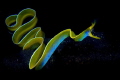 click to go to the contest 