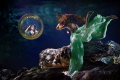 click to go to the contest 