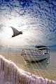 click to go to the contest 