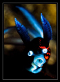 click to go to the contest 