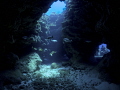 Dragons Lair, EastEnd, Grand Cayman 