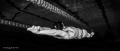 High school swimmer practicing his streamlining 