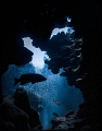 Grotto Silhouette. 
Black Grouper with Silversides. Schoolmaster Snapper, Tarpon in background – Grand Cayman 2013.
Olympus E-PL3, 11mm, natural light. 
f/4.5, 1/30sec, ISO400.
 