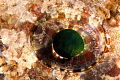 Emerald. 