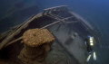 Sitting at a depth of 150-feet, a diver explores the stern of the wooden cargo ship "Forest City" near Tobermory. Canon 6D and 15mm lens, natural light. Colour corrected and cropped in PS. 