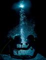 Honeymooners - a couple on a dive with Silversides a day after their wedding. 