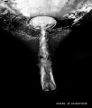 Diver entering the water from a high dive.  She hit the water perfectly as evidenced by the perfect circle she pushed into the water's surface. 