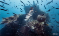 Underwater shooting on Uss. Liberty Wreck Dive, Tulamben. Bali 
