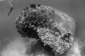 Stern view of the Gosei Maru wreck, Truk Lagoon 