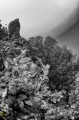 ikelite, Niikon D90, tokina 10-17 Fisheye 