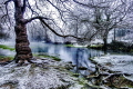 Bueges spring under snow (France) 