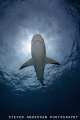Sharks and the sky make me dream!!!!! 
