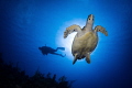 "Enlightening Experiences"
Magical moments experiencing nature. 