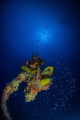 Lifeboat davit with decompressing divers in background 