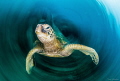 Slow shutter spin technique 