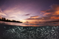Whilst everyone else returned to the boat, I grabbed another tank and spent my sundowner under the water. Arborek Jetty, Raja Ampat. 