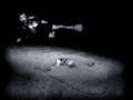 Night Dive Exploration 