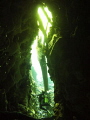 Devil's Ear 