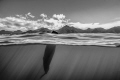 spermwhale splitted 