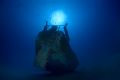Wreck of the Naked Lady, Kona 