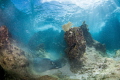 "Ironshore Dreamscape" - No Photoshop. A stingray (lower left) kicks up sand as it sucks up food in the shallows. Photographed next to the ironshore as light rays penetrate. 