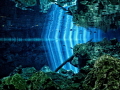 The way light finds it way through the jungle into the fresh water of the Cenotes in the Yucatán is truly magical. 