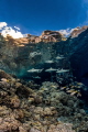 Blacktip reef sharks patrolling the shallow areas of a reef in French Polynesia. 