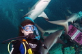 A young diver (my granddaughter) couldn't be happier to be surrounded by sharks on Stuart Cove's shark dive in Nassau. 