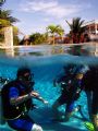 Their first breaths underwater. In the pool on Hopkins Beach, Southern Belize. 