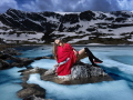 https://minkovstudio.com/
A beautiful example of Minkov Studio's fashion photography.
 