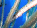 I took this photo on a recent trip to Turks and Caicos. Olympus c-5060 