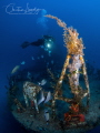 Wreck: P29 Patrol Boat 
Malta.
Olympus Omd Em5
Panasonic 8mm
Nauticam Housing
Inon Z240's
 