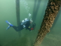 Diver glides between the pilings under old Swing Bridge. 