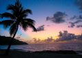 Sunset at Carambola on St Croix, USVI.
Just relaxing after a dive and enjoying some shore time near the dive site. 