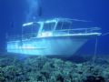 A Dive Shop does its part to destroy the reef at Maui. This reef that the boat is wedged into is part of a protected marine preserve. This company has zero respect for the environment and is responsible for killing the reef. 