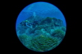 Cirkewwa Marine Park 