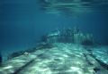 'ZERO' Remains of the infamous Japanese Zero (one of many) in the shallows of the Rock Islands, Palau. Housed Nikon F; 24mm Nikkor lens. Enjoy! 