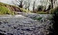 Does it make its way to the sea? This photo was taken in my backyard in TN.The creek is full of minnows and crawfish! Taken with my DC500 and wide angle lens. Photo taken yesterday afternoon while playing with the kids! 