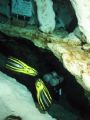 diver in the ginie springs cave 