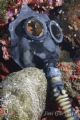 Gas mask on the "UNKAI MARU". 