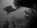 dive on the 'Shakem" 