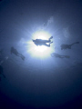 Divers.
Provo, Turks and Caicos 