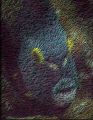 Started out as a photo pf a French Angel on the reef.  Several artistic and lighting effects later,...   