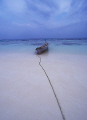 looks like a watercolor painting 