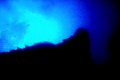 Window to the shoals 