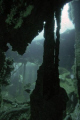 Indra Wreck, Carolina.  D70, 12-24 mm lens, no strobe.  