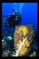 Sharon and sponge,
Hole in the Wall,
Providenciales 