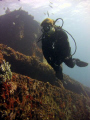 Sorich in the Wit Shoal, St. Thomas, V.I.U.S. 