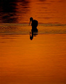 Fishing - Image taken in SW Florida with a Nikon D200 using a 800mm lens at sunset. 